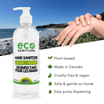 thumbnail image 2 of Eco Sanitizer Hand Sanitizer Liquid 80% Ethyl Alcohol - 500ml, 2 of 8