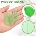 thumbnail image 3 of 100 Pcs Hojas Esqueléticas Verdes, 2"- 3" Hojas Prensadas de Árbol de Caucho para Álbumes de Fotos y Manualidades, 3 of 7