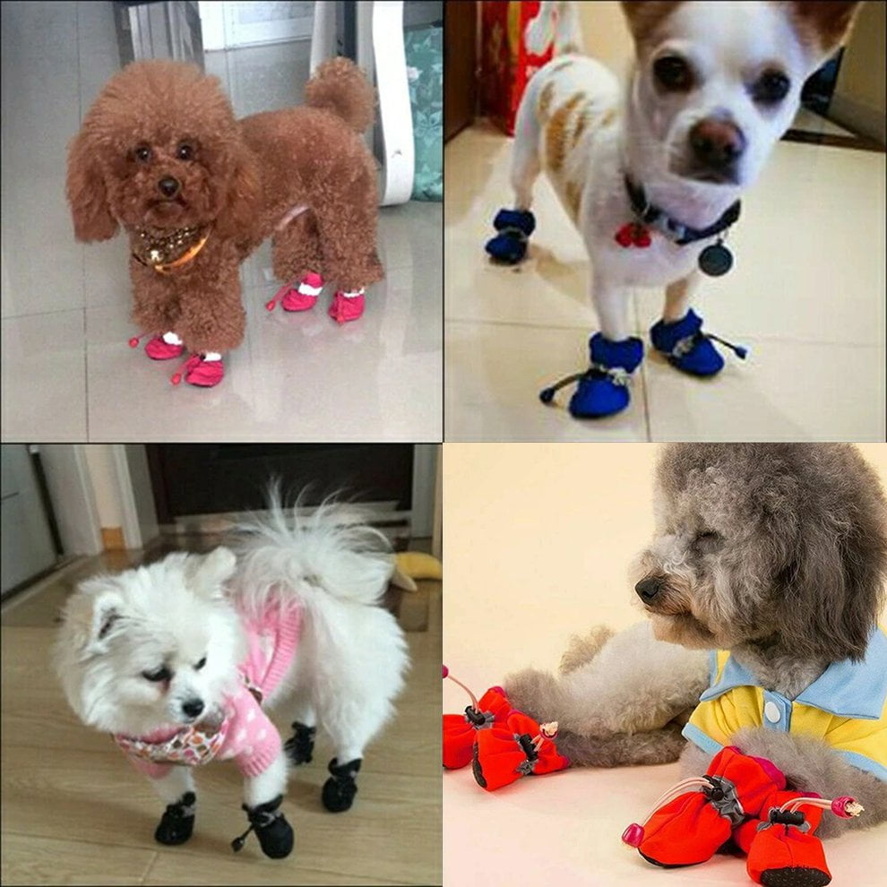 non slip dog socks