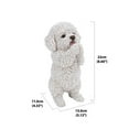 thumbnail image 4 of Chiot Maltais Jouant, 4 of 4
