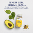 Solaray Mega Vitamin BStress, TwoStage TimedRelease Specially