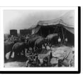 thumbnail image 2 of Historic Framed Print, [Ringling Bros. and Barnum and Bailey Circus] - 3, 17-7/8" x 21-7/8", 2 of 9