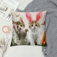thumbnail image 2 of JEUXUS  Cat with Rabbit Ears Throw Pillow Covers , Accent Pillows Pillow Case Sofa Pillow Covers, Decorative Pillow Covers Throw Pillows for Couch Bedroom Living Room, 2 of 5