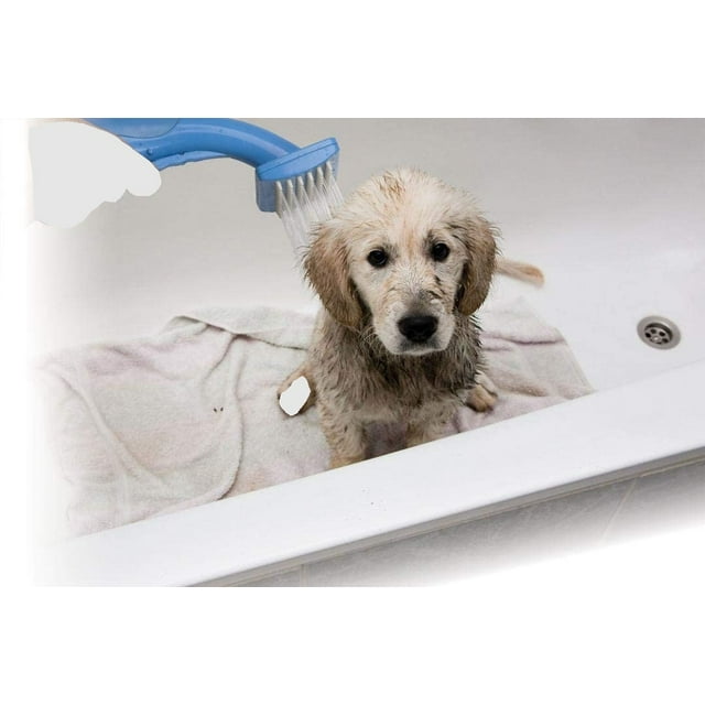 Pet Zoom Bathe N' Groom Indoor Outdoor Dog Washer and Grooming System with 4 Foot Hose and Three Connectors