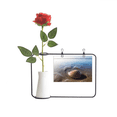 thumbnail image 1 of Ocean Water Shell Science Nature Picture Artificial Rose Flower Hanging Vases Decoration Bottle, 1 of 3