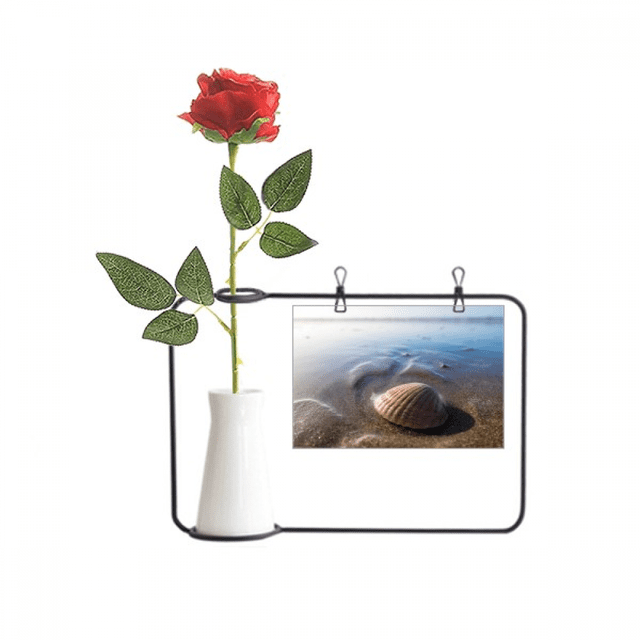 Ocean Water Shell Science Nature Picture Artificial Rose Flower Hanging Vases Decoration Bottle