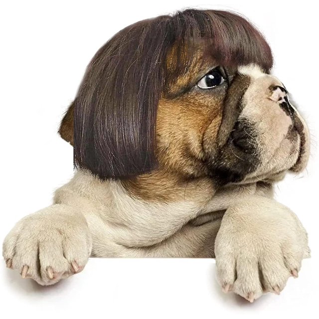 Peluca Cospaly para perro, peluca de pelo para disfraz de perro y gato