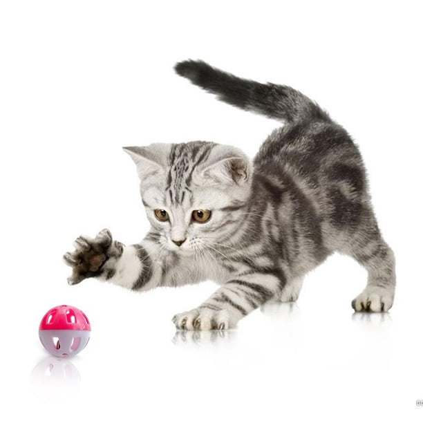 Cats Pounce Chase Rattle Rattle Toy con Bell Ball Pet Supplies Random