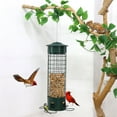 thumbnail image 3 of Frogued Metal Birds Feeder for Outdoors Hanging Squirrel Proof Seeds Feeder with Perches for Wild Birds Finch Blue Jay Chickadee (Green), 3 of 13
