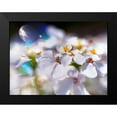 thumbnail image 2 of Hunt, Gillian 18x15 Black Modern Framed Museum Art Print Titled - Jewels of the Enchanted Forest I, 2 of 5