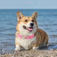 thumbnail image 6 of Minzimin 1Pack Soft Cotton Dog Collar Adjustable Corduroy Dog Collars for Small Medium Large Female Dogs(Pink,Small), 6 of 9