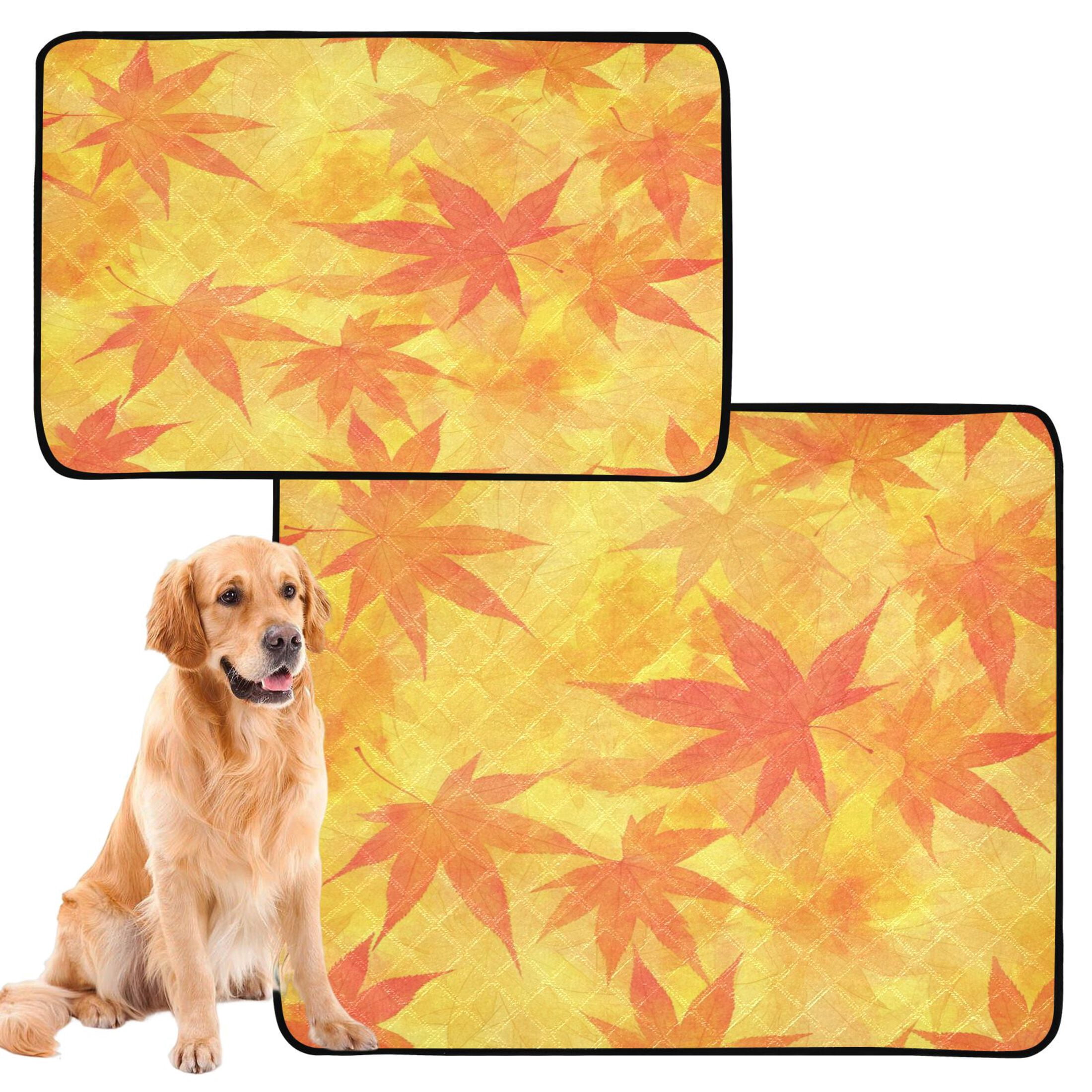 Qxltty Autumn Leaves Cat litter Pads Pet Set of 3 Diaper Mats Center Anti-leakage Layer Absorbent Soft and Comfortable