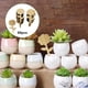 thumbnail image 3 of Etiquetas de Plantas Sunnimix Conjunto de 60 Piezas, 3 of 7