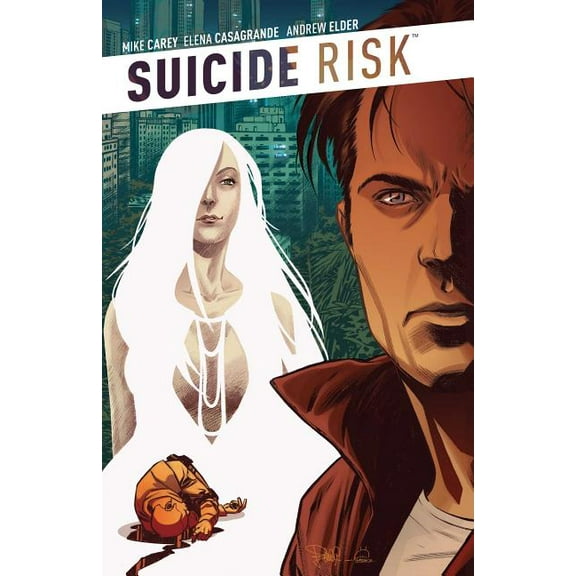 Suicide Risk: Suicide Risk Vol. 6 (Series #6) (Paperback)