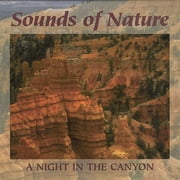 Night In The Canyon