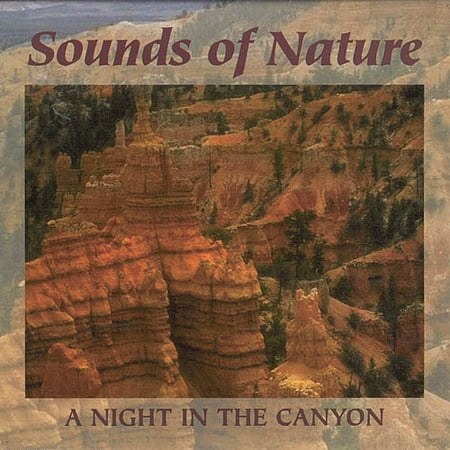 Night In The Canyon