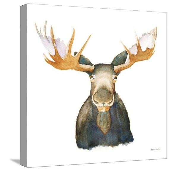 Art.com Moose Stretched Canvas Print Wall Art by Kathy Ferguson, 16" x 16"