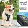 thumbnail image 3 of PoyPet Dog Harness Adjustable Soft Breathable Mesh Pet Harness No Pull Choke-Free Double Padded Vest for Small Medium and Large Dogs,Black M, 3 of 8