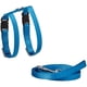 thumbnail image 1 of Juego de arneses y correas para hurones Marshall Pet, 122 cm, nailon, azul, 1 of 1