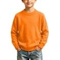 thumbnail image 5 of KICILVS Sweater Girls Long Sleeve Crew Neck Jumper Tops Cute Fall Winter Knit Cozy Knitted Warm Soft Sweater Pullover 1-3 Years, 5 of 9