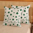 thumbnail image 2 of St Patricks Day Pillow Covers 18x18 White Green Clover Decor Throw Pillows Case for Couch Lucky Shamrocks Spring Indoor Outdoor Decorative Cushion Case for Sofa Bed Decorations Set of 2, 2 of 6