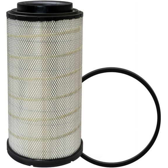 Baldwin Air Filter RS5287