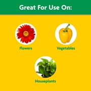 Miracle-Gro Liquid All Purpose Plant Food, Concentrate, For All Plant Types, 32 oz.