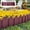 Red, variant on Plastic Garden Fence Edging 22x7in for Lawn, Flowerbed Border Decorative Picket Fence - Coffee/Green/Gray/Red