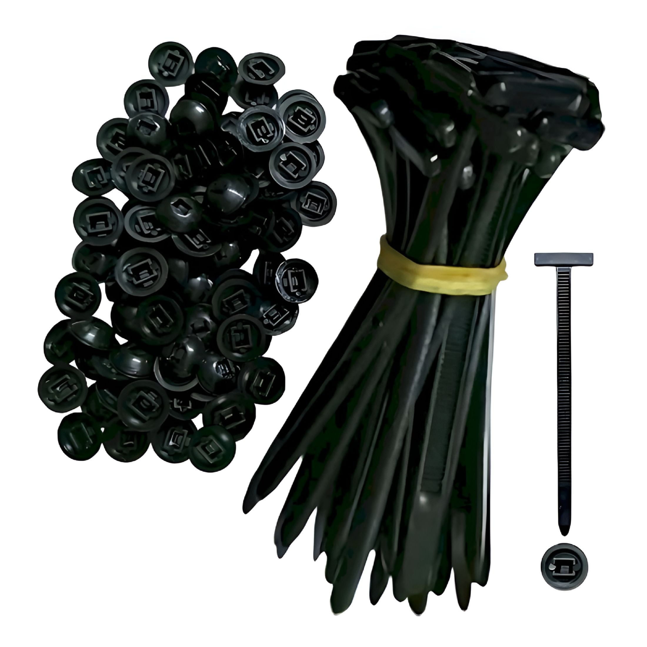 b2e6e9d6-b165-430d-953d-