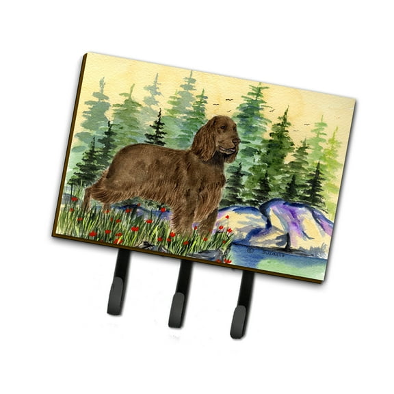 Carolines Treasures SS8131TH68 Field Spaniel Leash Holder or Key Hook, Large, Multicolor