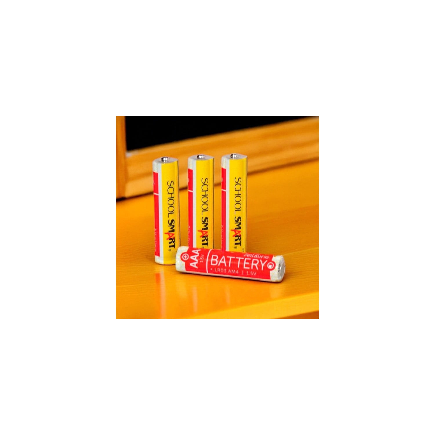 Alkaline Batteries, AAA, Pack of 48