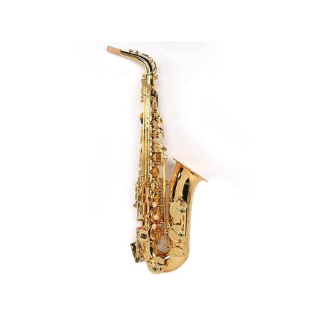 Benjamin Adams AS100 Beginner Alto Saxophone