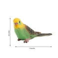 thumbnail image 2 of A Simulation Parrot Figurine For Home Decorate Preschool Educational Bird Model Toy, 2 of 8