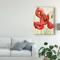 thumbnail image 3 of Trademark Fine Art 'Poised Poppy II' Canvas Art by Grace Popp, 3 of 4