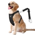 thumbnail image 1 of Cinturón de seguridad para perros VavoPaw, arnés de seguridad para coche, nailon, negro, XL, 1 of 6