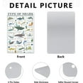 thumbnail image 6 of Shark Poster - Shark Knowledge Wall Art - Types of Shark Aluminum Metal Tin Sign - Fun World Education Science Shark Graph Painting Cute Gifts Decor for Home School Classroom Children's Room 12x8 Inch, 6 of 7
