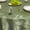 Beige, variant on Verolix Botanical Fern Round Tablecloth 60 Inch, Green Leaf Table Cover for Dining Table Decoration