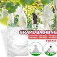 thumbnail image 1 of 100 Fruit Protection Bag Net Bags Grape Bunch Protection Against Birds And Insects Wasps Hornets 30 x 20 cm, 1 of 5