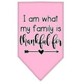 thumbnail image 4 of Pet and Dog Bandana Screen Printed, "I Am What My Family Is Thankful For", 4 of 10