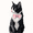 Cat, variant on Cute Tuxedo Cat Pink Bowtie Canvas Print, Living Room Bedroom Cafe Bar Wall Decor