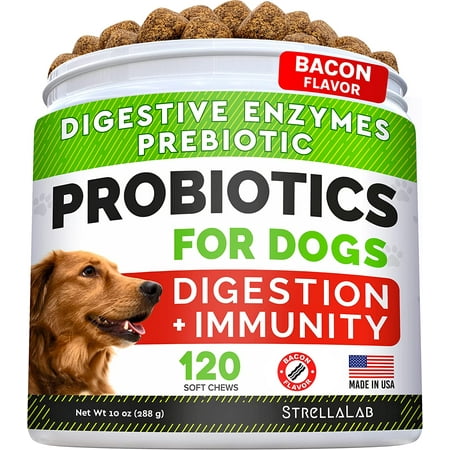 UPC: 0693634266975 | Dog Probiotics Treats for Picky Eaters – Digestive Enzymes + Prebiotics – Chewable Fiber Supplement – Allergy  Diarrhea  Gas  Constipation  Upset Stomach Relief – Improve Digestion  Immunity