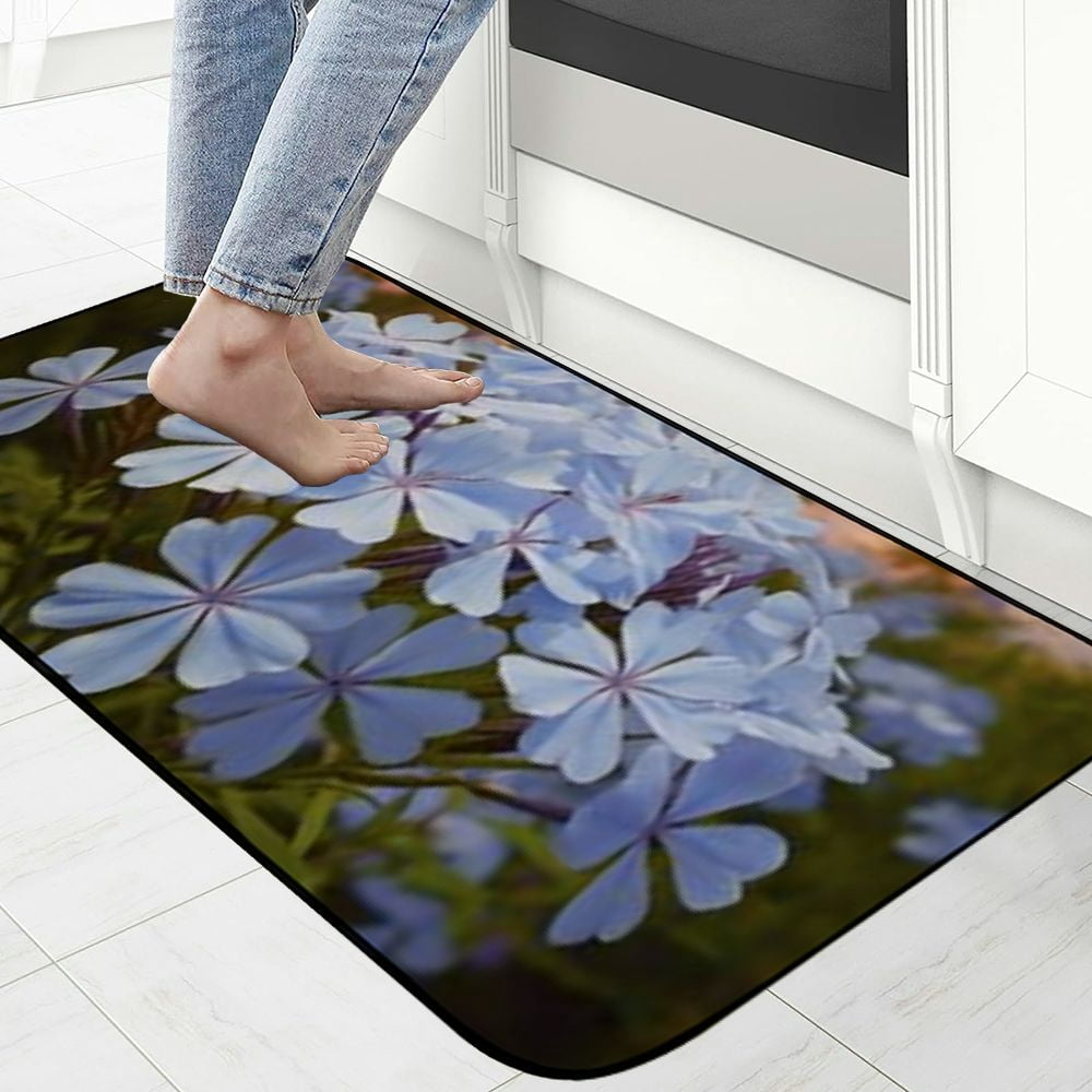 Heduofu Decorative Door Mat, Door Mat with Non-Slip Rubber Backing, Cleaning, Traps Dirt, for Entry, Patio, Garage - Plumbago Flowers Spring Floral Blossom Bloom 19.68*47.24 in