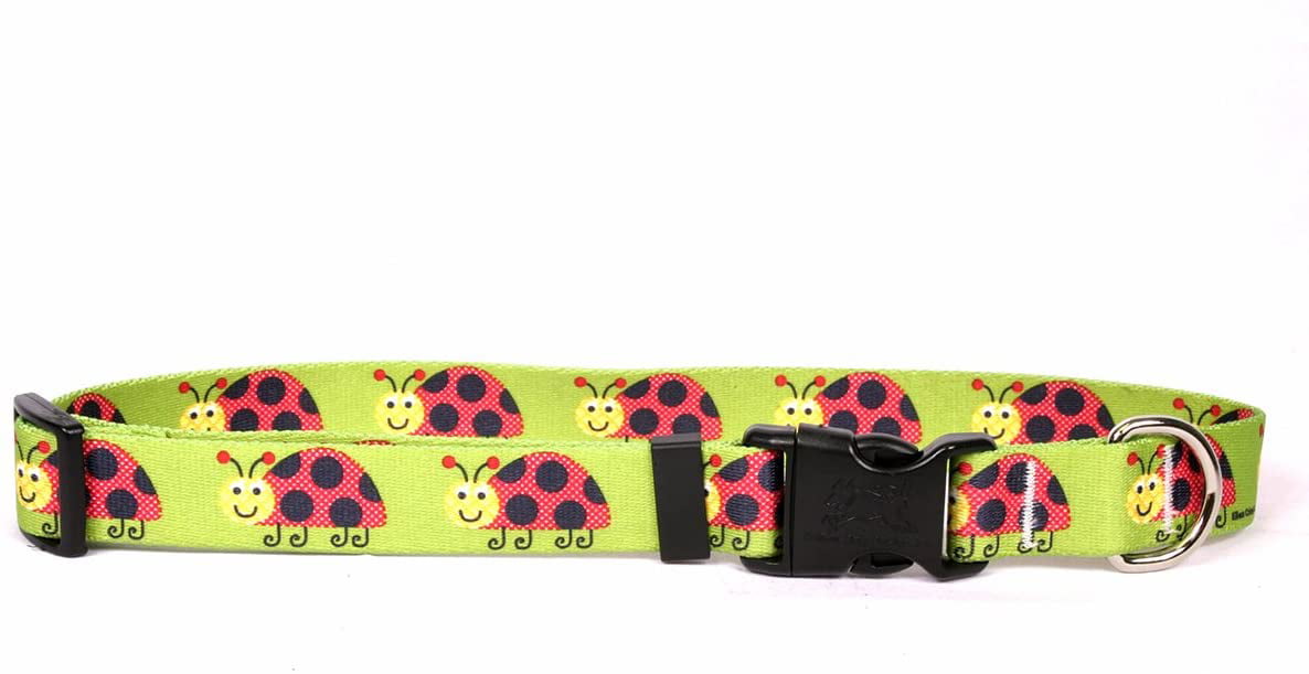 Lovely Ladybugs Standard Designer Dog Collar 