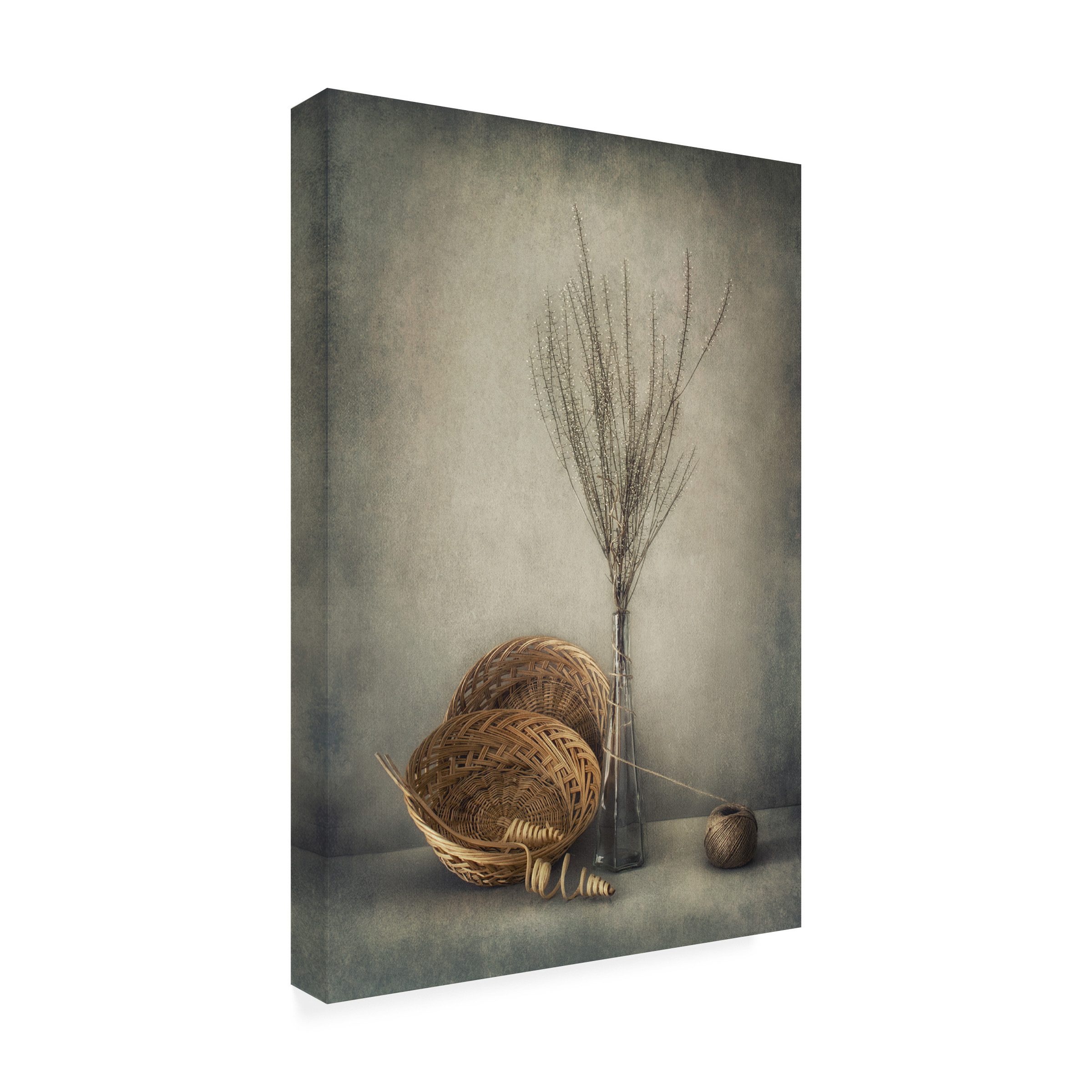 Dimitar Lazarov 'Almost Autumn' Canvas Art