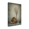 thumbnail image 4 of Dimitar Lazarov 'Almost Autumn' Canvas Art, 4 of 4