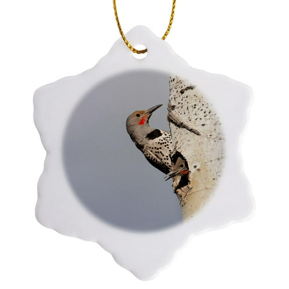 3drose, Canada, B.c., Adult Male Northern Flicker at Nest Hole with Chick., 3 inch Snowflake Porcelain Ornament