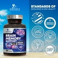 thumbnail image 5 of Brain Memory Supplement Pills - 3X Strength Nootropics for Concentration, Clarity & Focus Support - Brain Health Cognitive Vitamins with Bacopa, Phosphatidylserine & DMAE, Brain Booster, 120 Capsules, 5 of 10