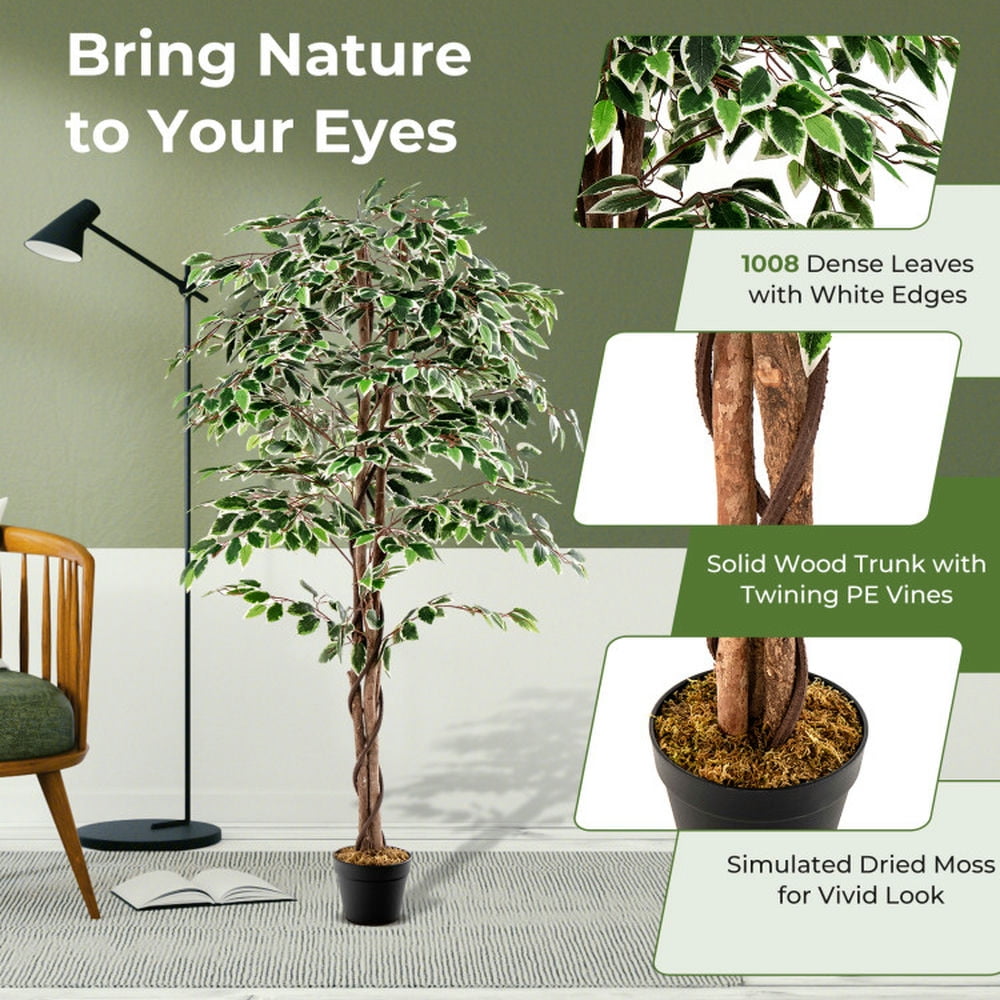 Spaco 65 inch Tall Faux Indoor Plant with 1008 Leaves Nursery Pot and Dried Moss, Artificial Ficus Tree, Faux Ficus Tree for Indoor as Living Room, Office, Green