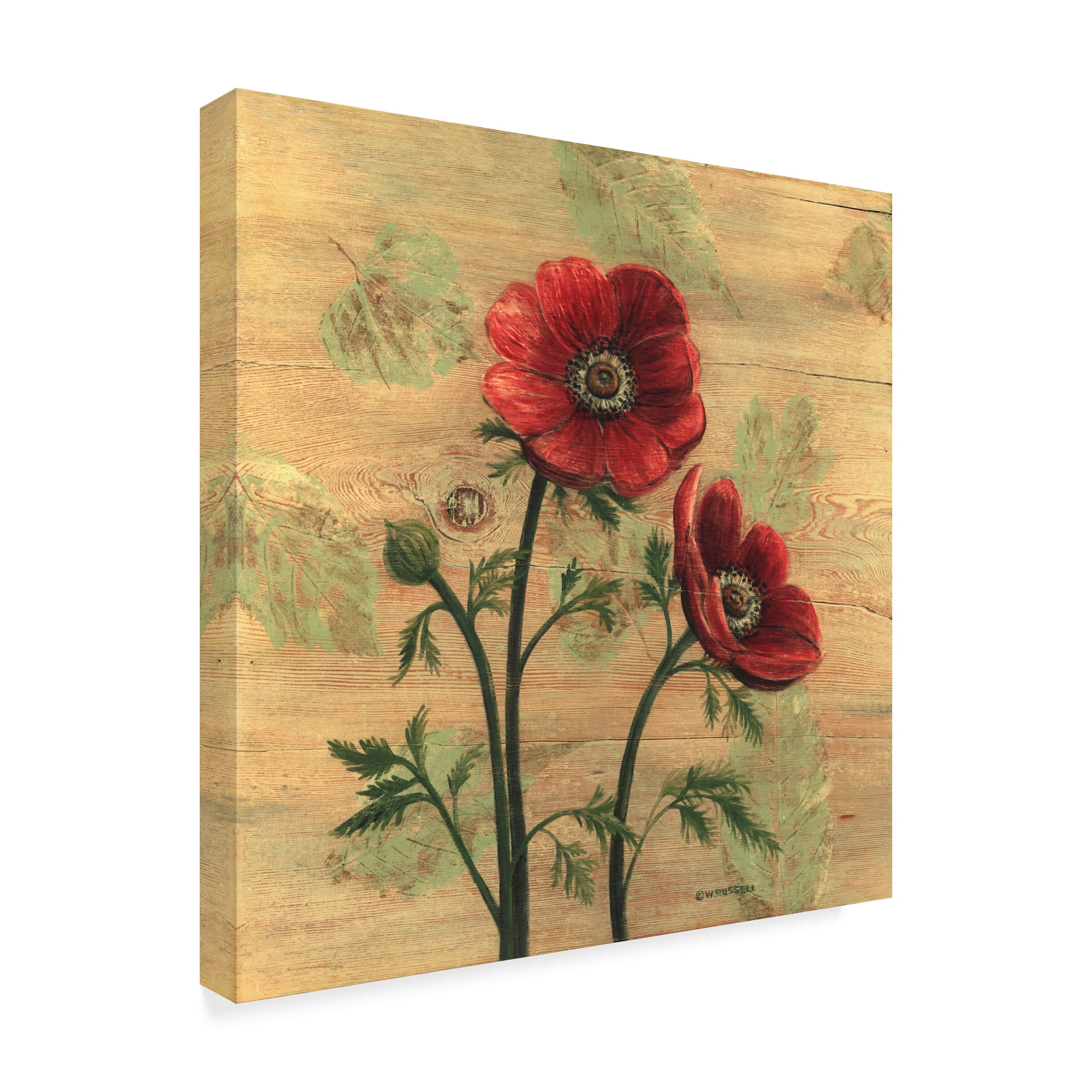 Trademark Fine Art 'Anemone on Wood' Canvas Art by Wendy Russell