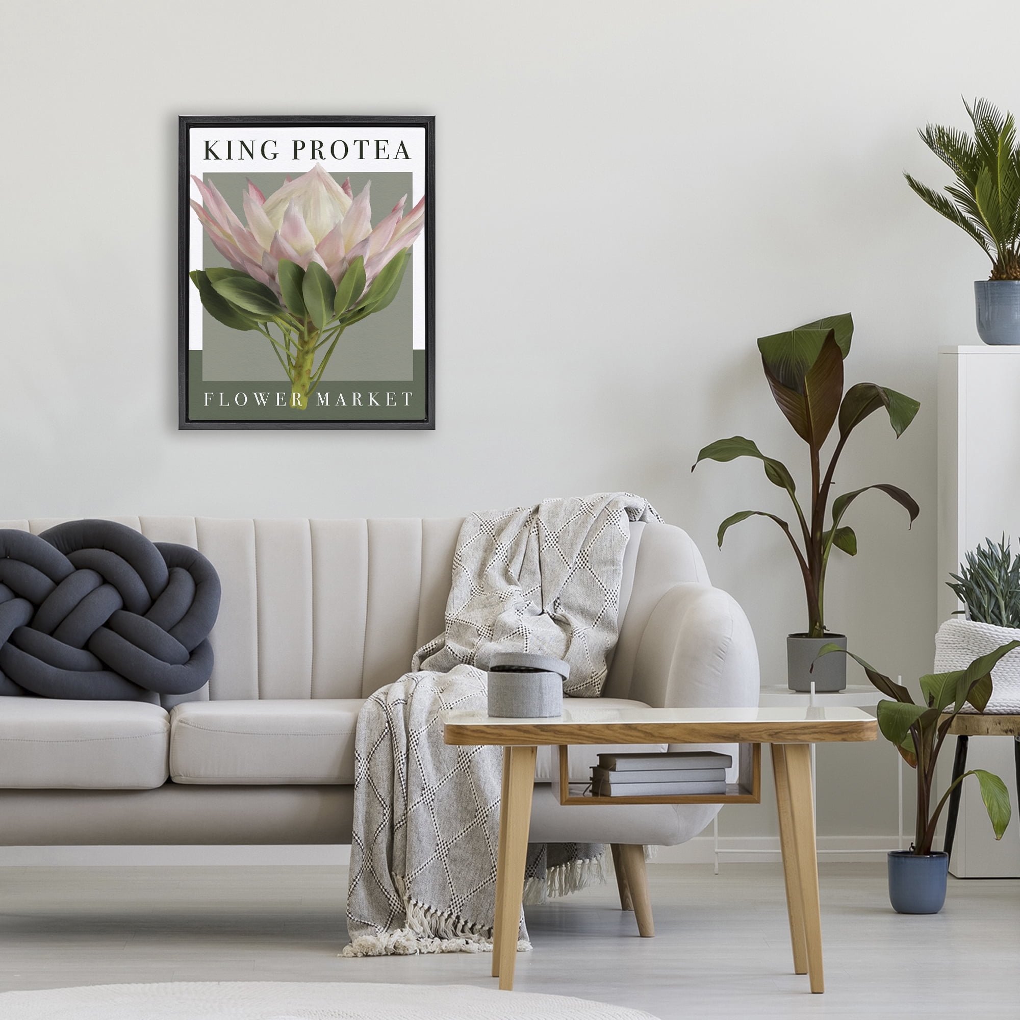 Stupell Industries King Protea Flower Market Black Framed Floater Canvas Wall Art, design by Jennifer Stith